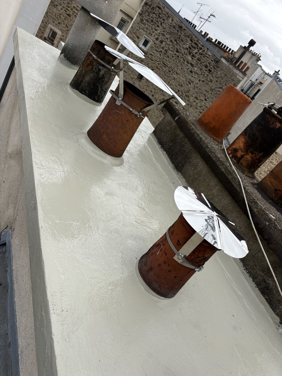 Maîtrise LAUMONIER : Protection durable des couronnements à Paris — photo 2