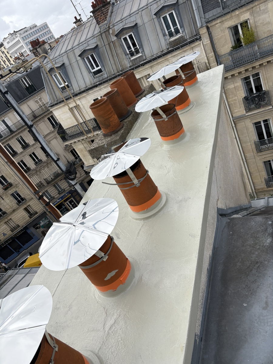 Maîtrise LAUMONIER : Protection durable des couronnements à Paris — photo 4