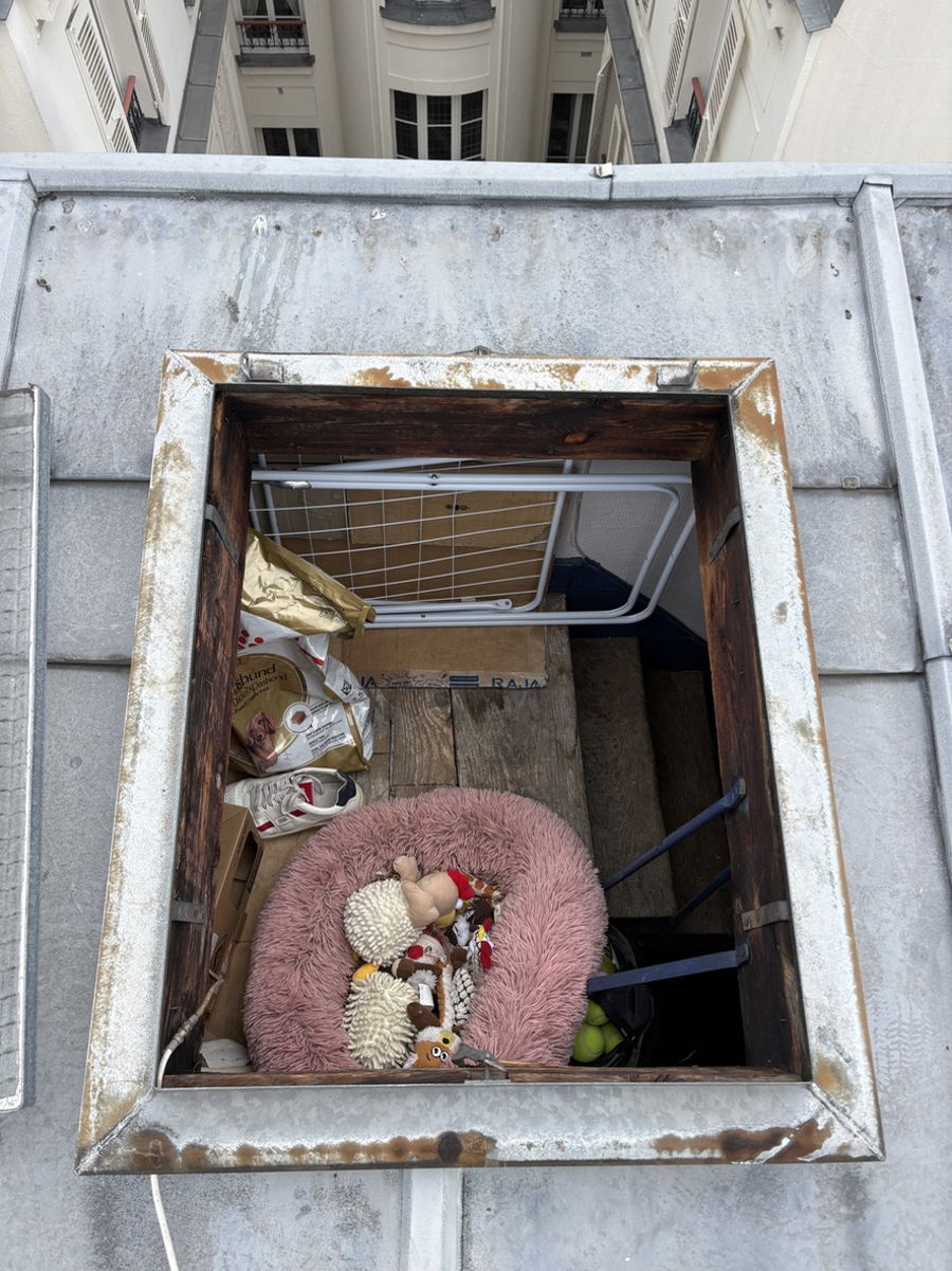 Maîtrise LAUMONIER : Protection durable des couronnements à Paris — photo 7
