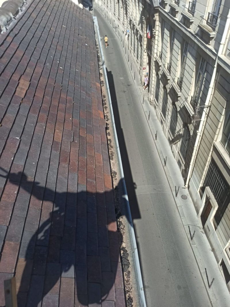 Réfection d'une couverture en zinc à Paris