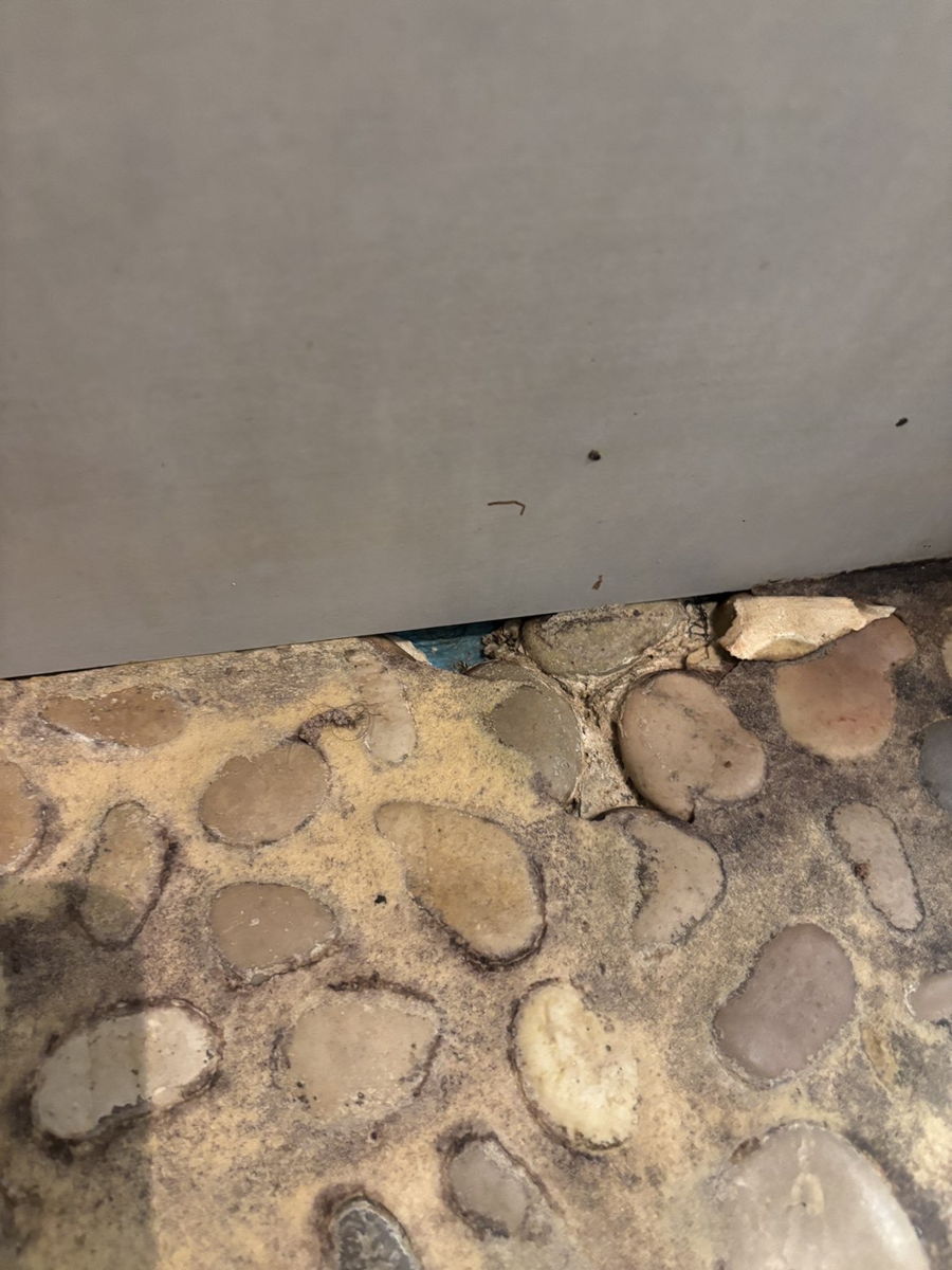 Accès appartment MARA , test humidité à plusieurs endroit sur mur mitoyen à chaq — photo 7