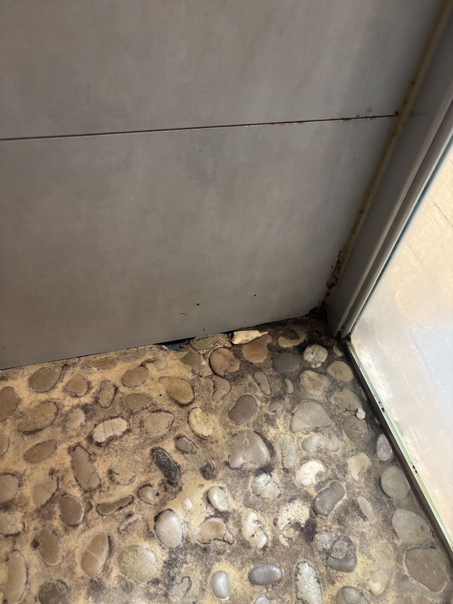Accès appartment MARA , test humidité à plusieurs endroit sur mur mitoyen à chaq — photo 8