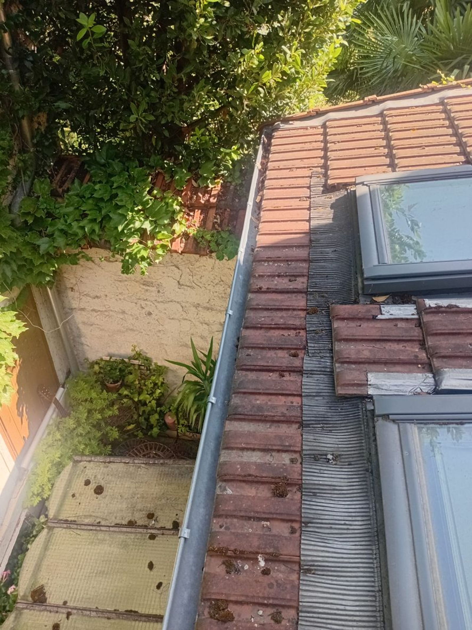 Nettoyage et remise en état d'une gouttière à Paris