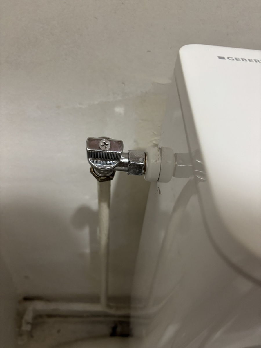 Remplacement d'un WC dans un espace optimisé — photo 2