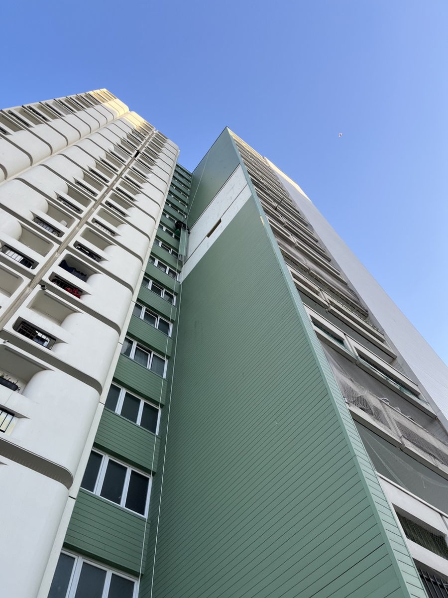 Intervention sur corde en façade — photo 4