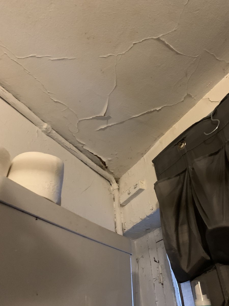 Fuite plafond salle de bain - 11.05 — photo 2