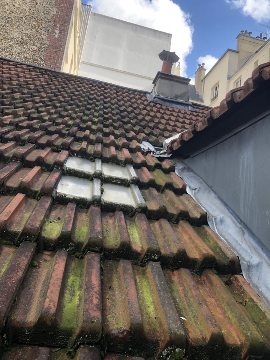 Expertise MERIL : Toitures, de la précision à la grande envergure — photo 3
