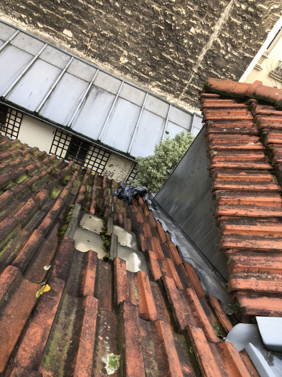 Expertise MERIL : Toitures, de la précision à la grande envergure — photo 29