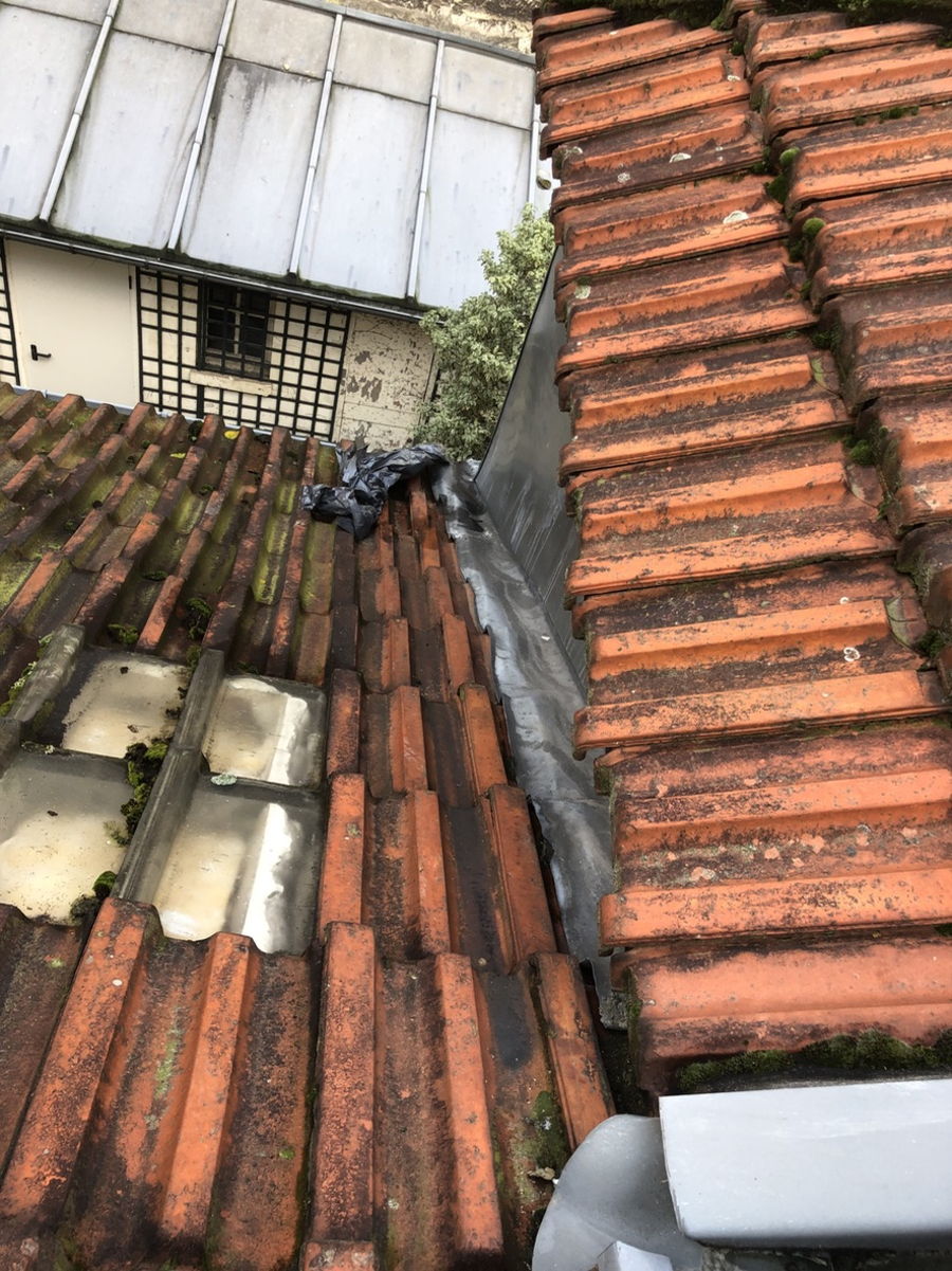 Expertise MERIL : Toitures, de la précision à la grande envergure — photo 30