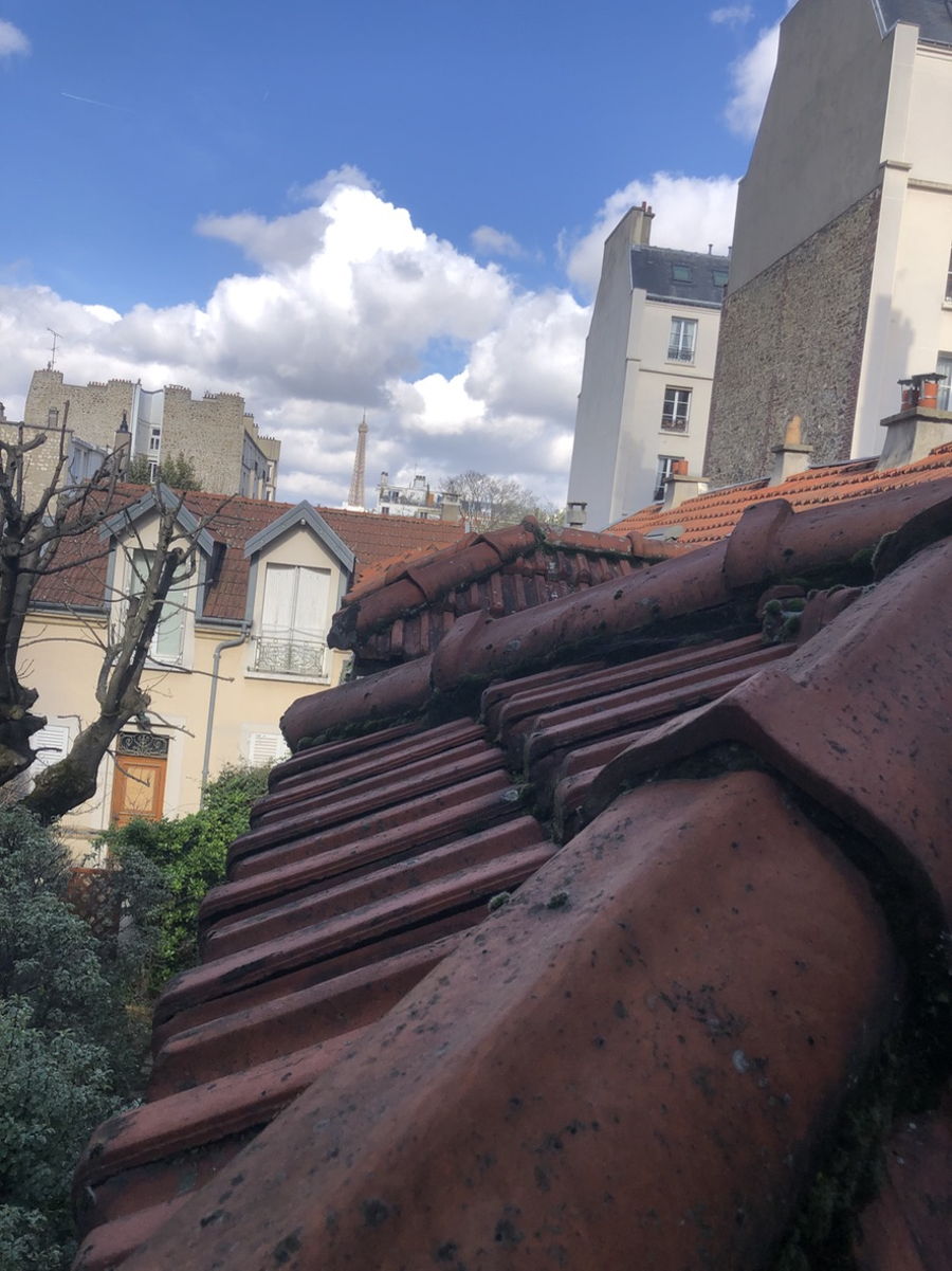 Expertise MERIL : Toitures, de la précision à la grande envergure — photo 8