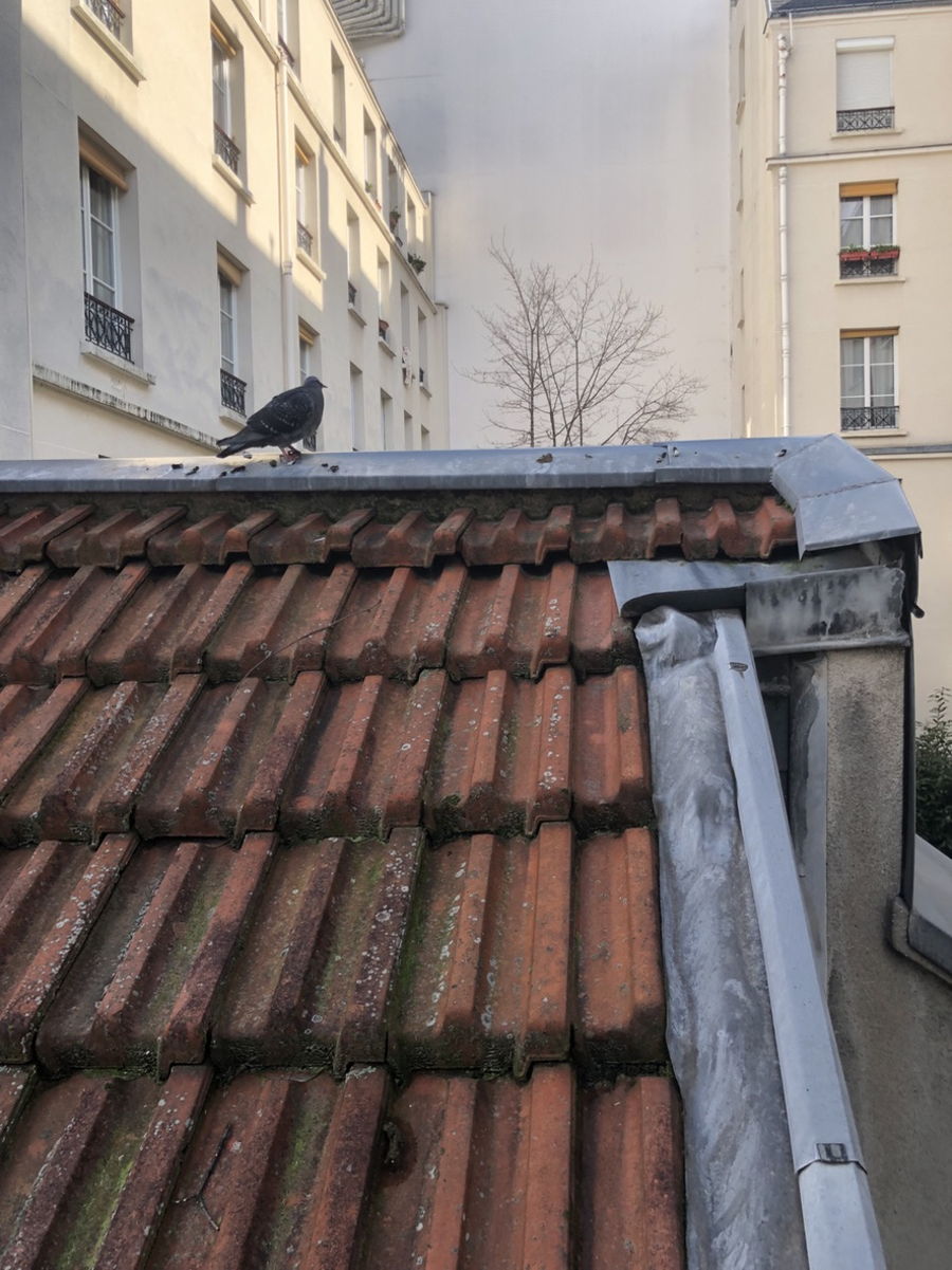 Expertise MERIL : Toitures, de la précision à la grande envergure — photo 10