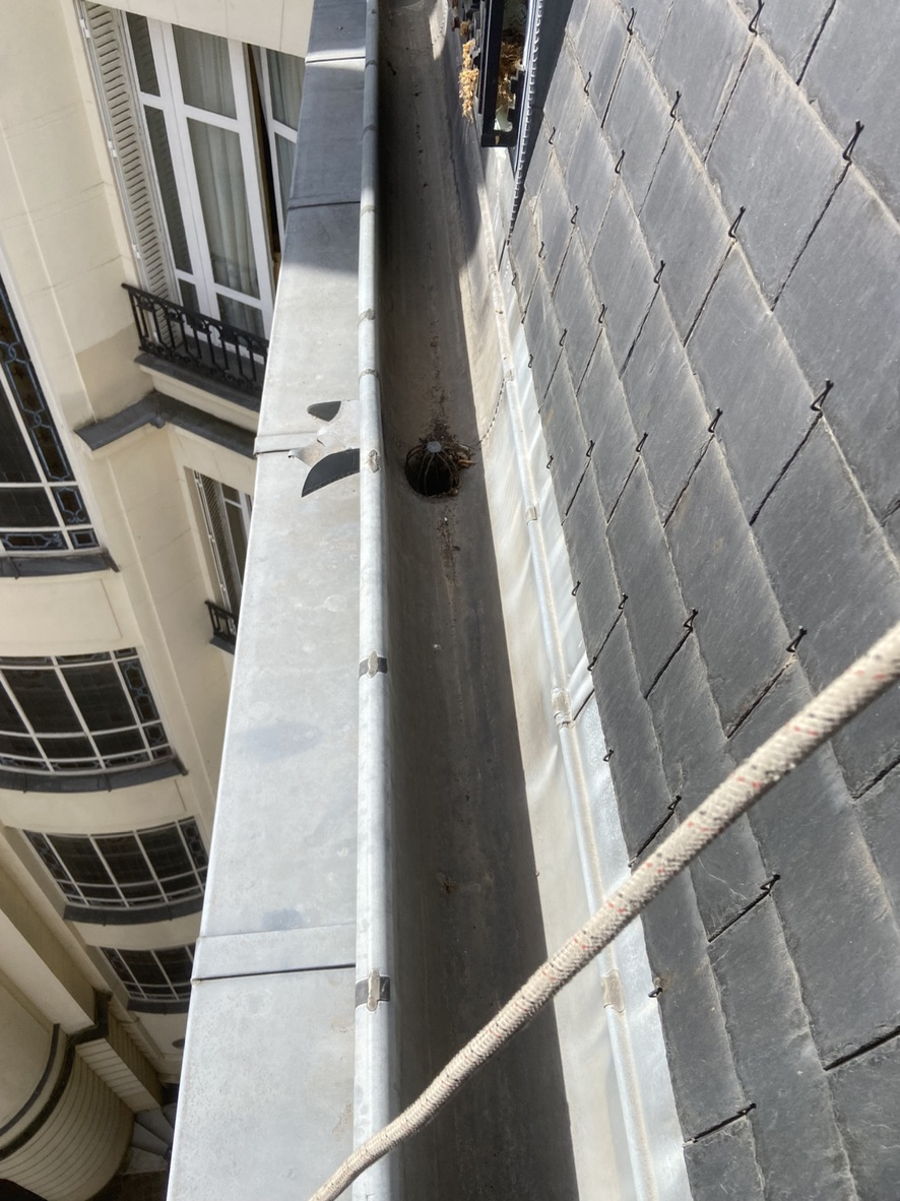Entretien de gouttière à Paris — photo 2
