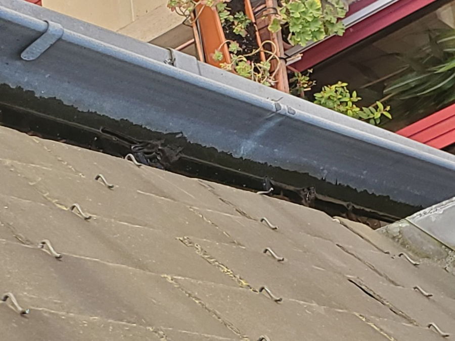 Couvreur-cordiste à l'œuvre sur une toiture en pente — photo 7